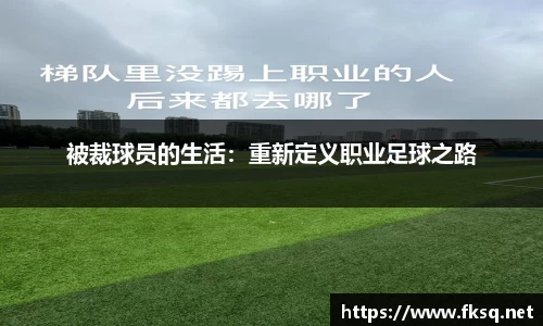 DG视讯官方网站